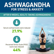 Applied Nutrition Ashwagandha KSM-66 (60 Capsule)