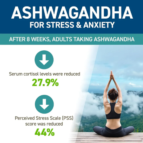 Applied Nutrition Ashwagandha KSM-66 (60 Capsule)